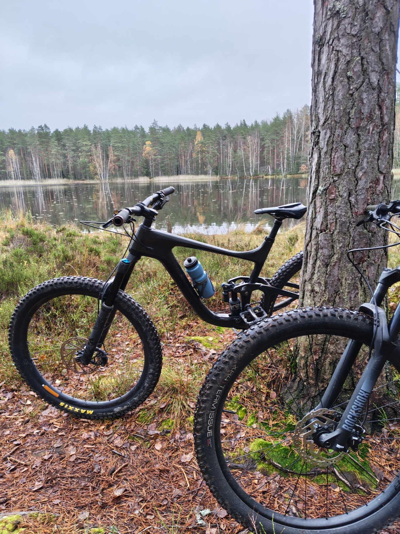 Two mountain bikes leaning against a pine tree beside a calm forest lake on a grey autumn day