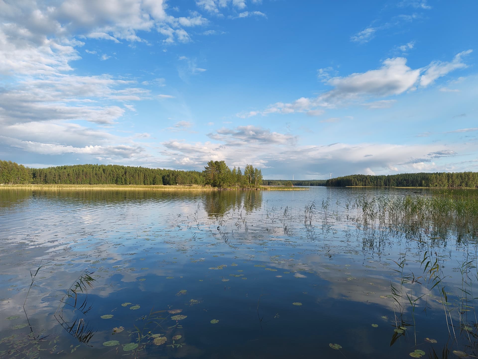 Lago tranquilo rodeado de bosque en Finlandia durante el verano