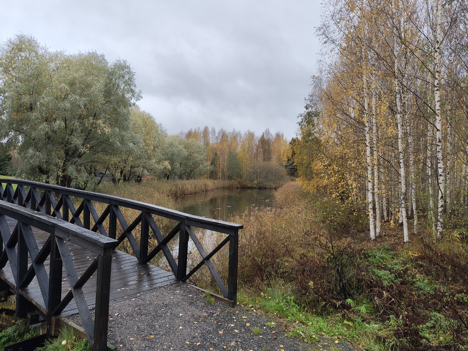 Wooden footbridge beside autumn birches and water in Finland in October