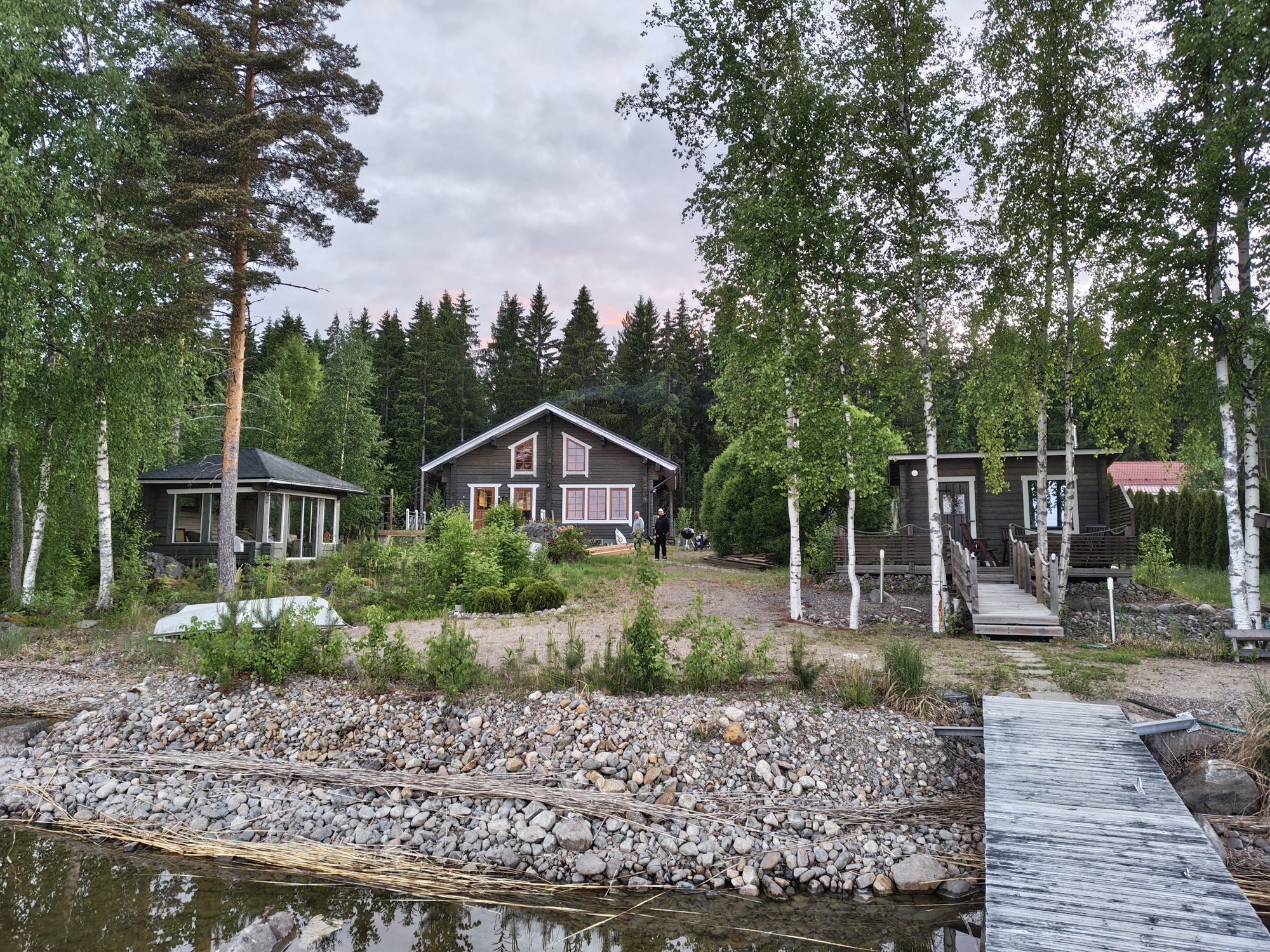 Cottage shoreline with birch trees and a jetty leading into the lake